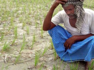 Image of Distressed Farmer, Land