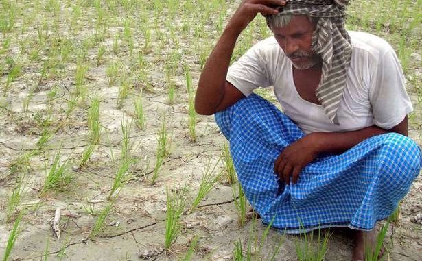 Image of Distressed Farmer, Land